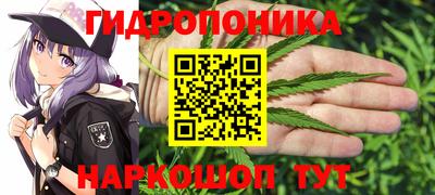 ГАЛЛЮЦИНОГЕННЫЕ ГРИБЫ Будённовск