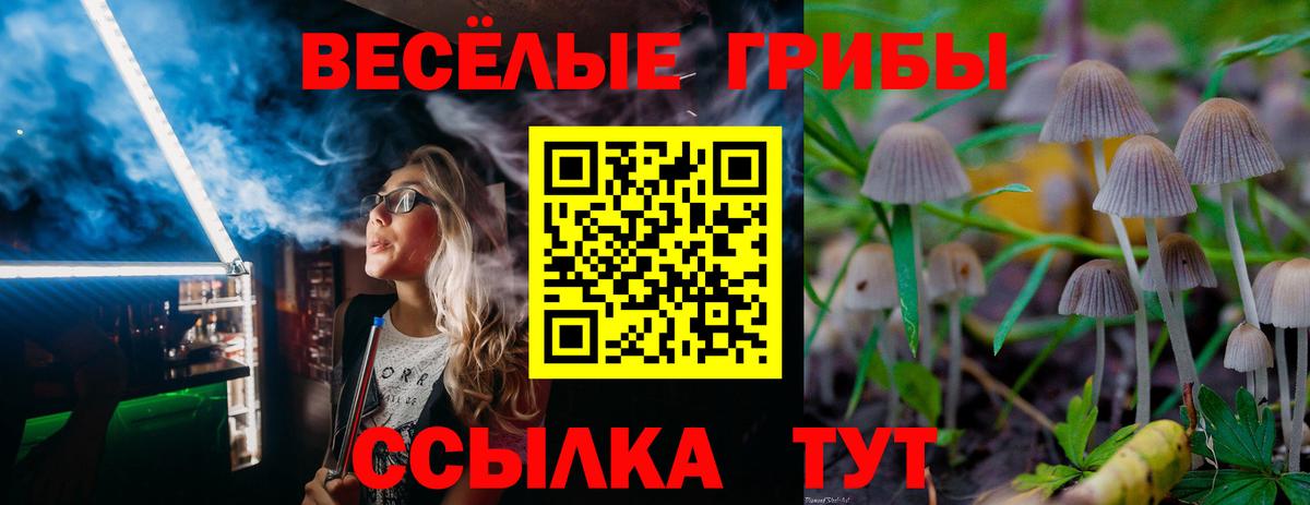 Псилоцибиновые грибы MAGIC MUSHROOMS  Вход с VPN  Карасук 