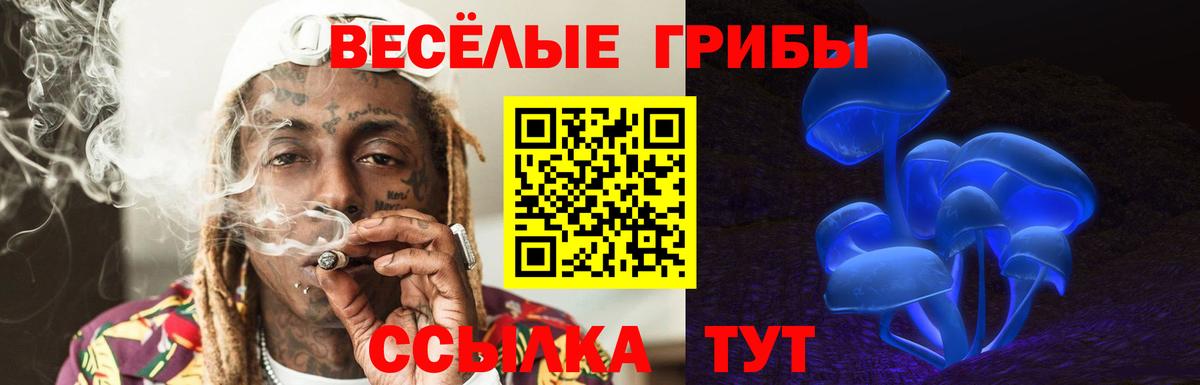Галлюциногенные грибы Psilocybe Карасук