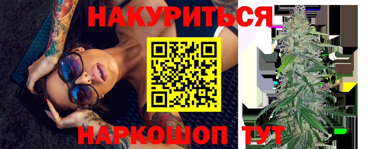 Канабис сатива Карасук